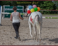 1-13JUIN 1204